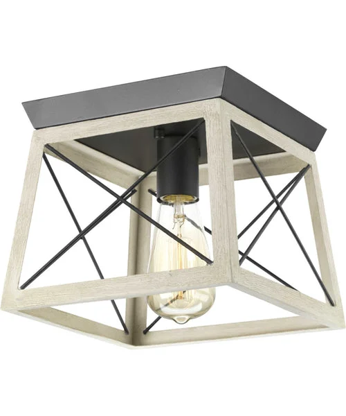 Progress lighting Briarwood 1-Light 9-1/2" Flush Mount Graphite